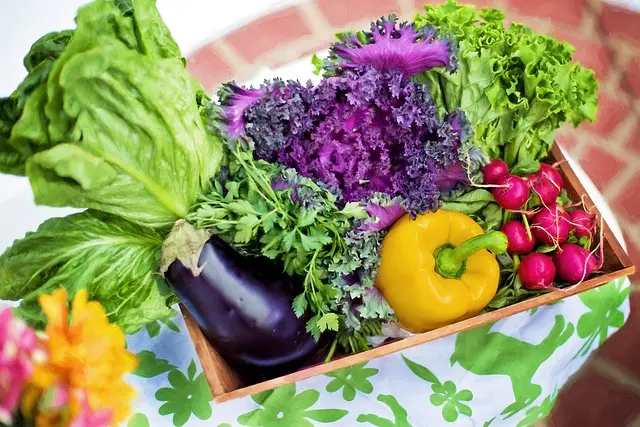 Aprenda como escolher boas frutas, legumes e verduras